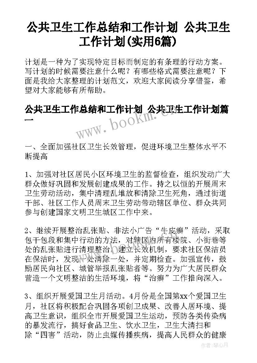 公共卫生工作总结和工作计划 公共卫生工作计划(实用6篇)