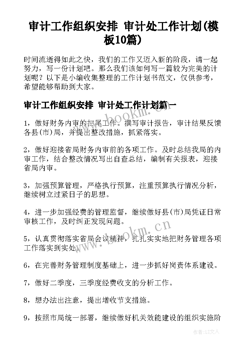 审计工作组织安排 审计处工作计划(模板10篇)