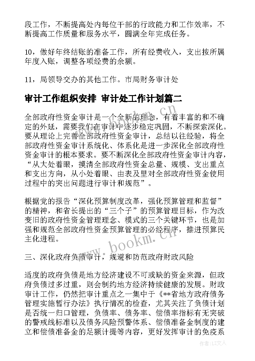 审计工作组织安排 审计处工作计划(模板10篇)