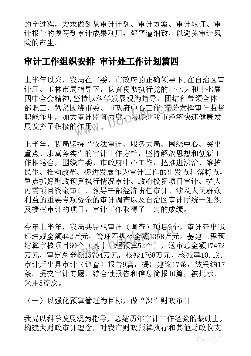 审计工作组织安排 审计处工作计划(模板10篇)