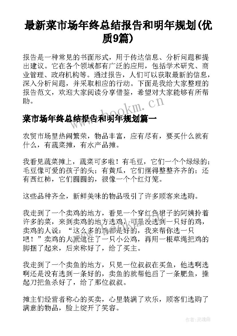 最新菜市场年终总结报告和明年规划(优质9篇)