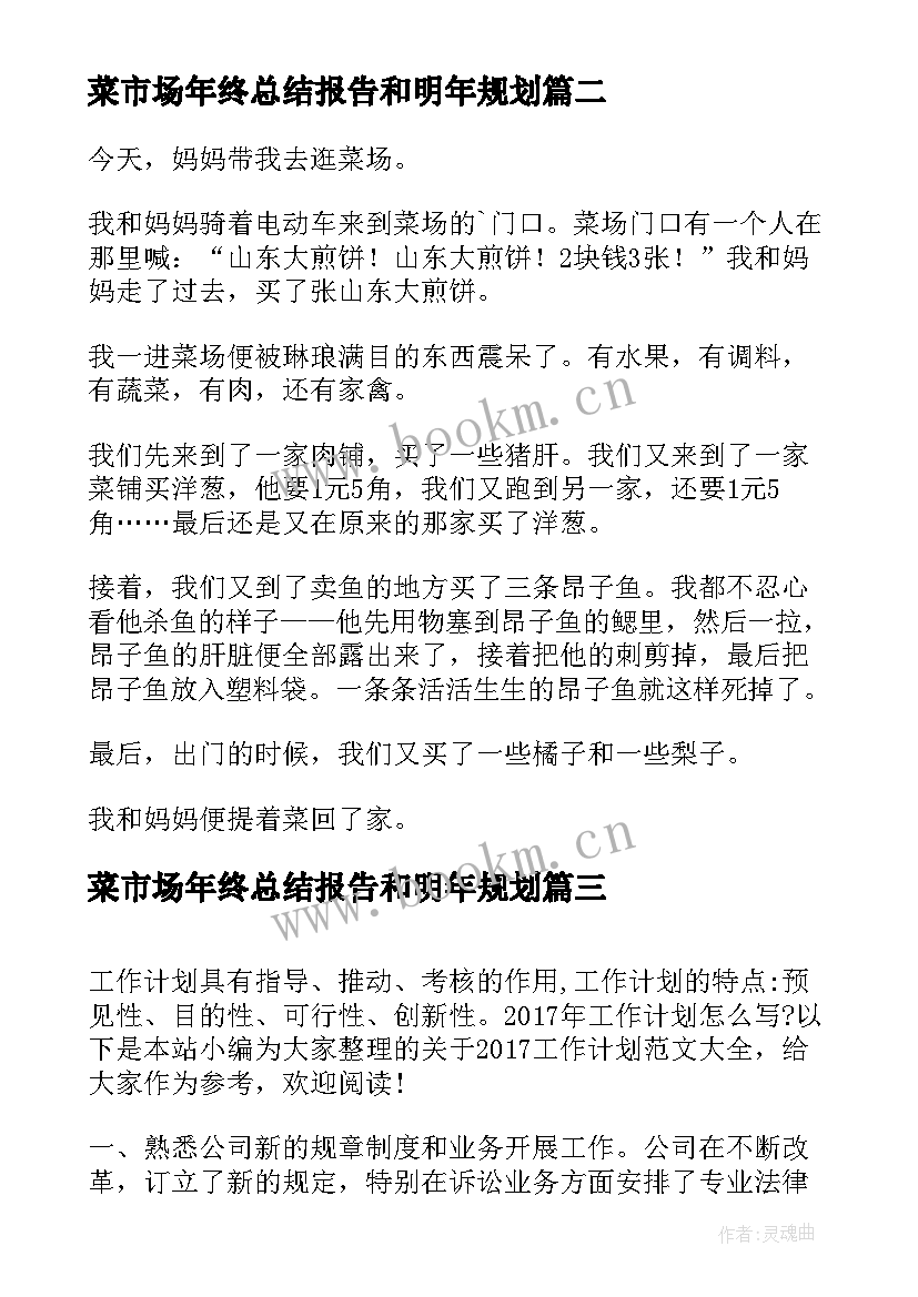 最新菜市场年终总结报告和明年规划(优质9篇)