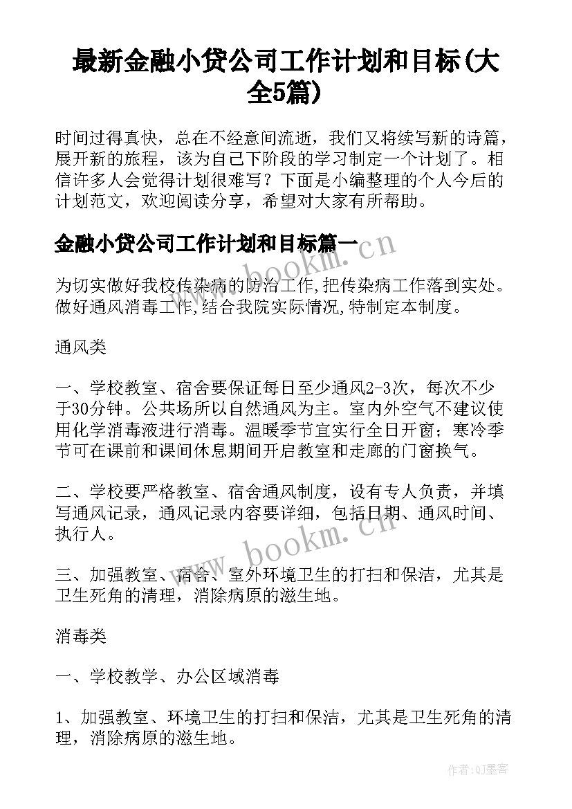 最新金融小贷公司工作计划和目标(大全5篇)