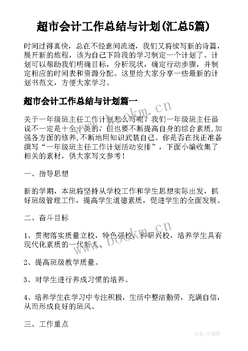 超市会计工作总结与计划(汇总5篇)