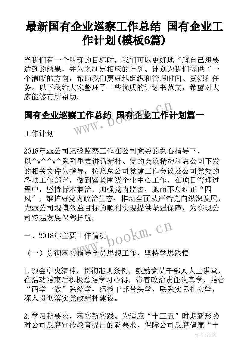 最新国有企业巡察工作总结 国有企业工作计划(模板6篇)