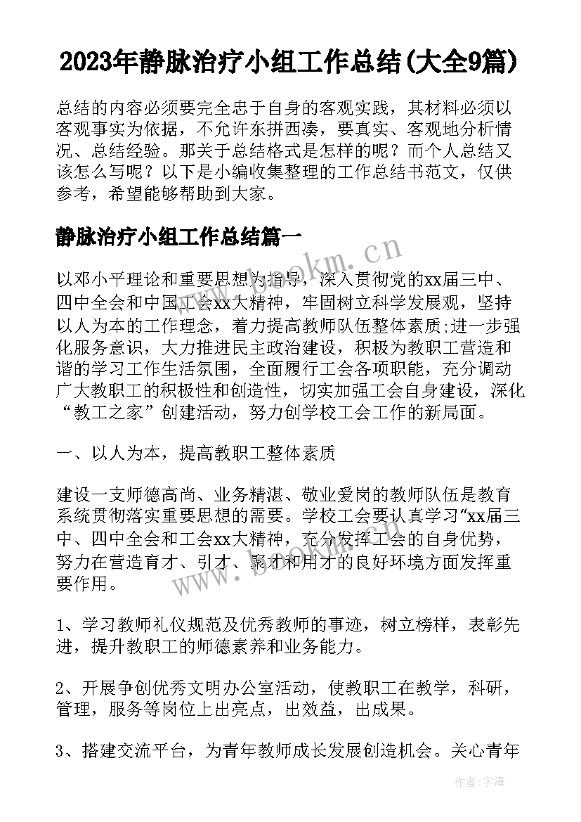 2023年静脉治疗小组工作总结(大全9篇)