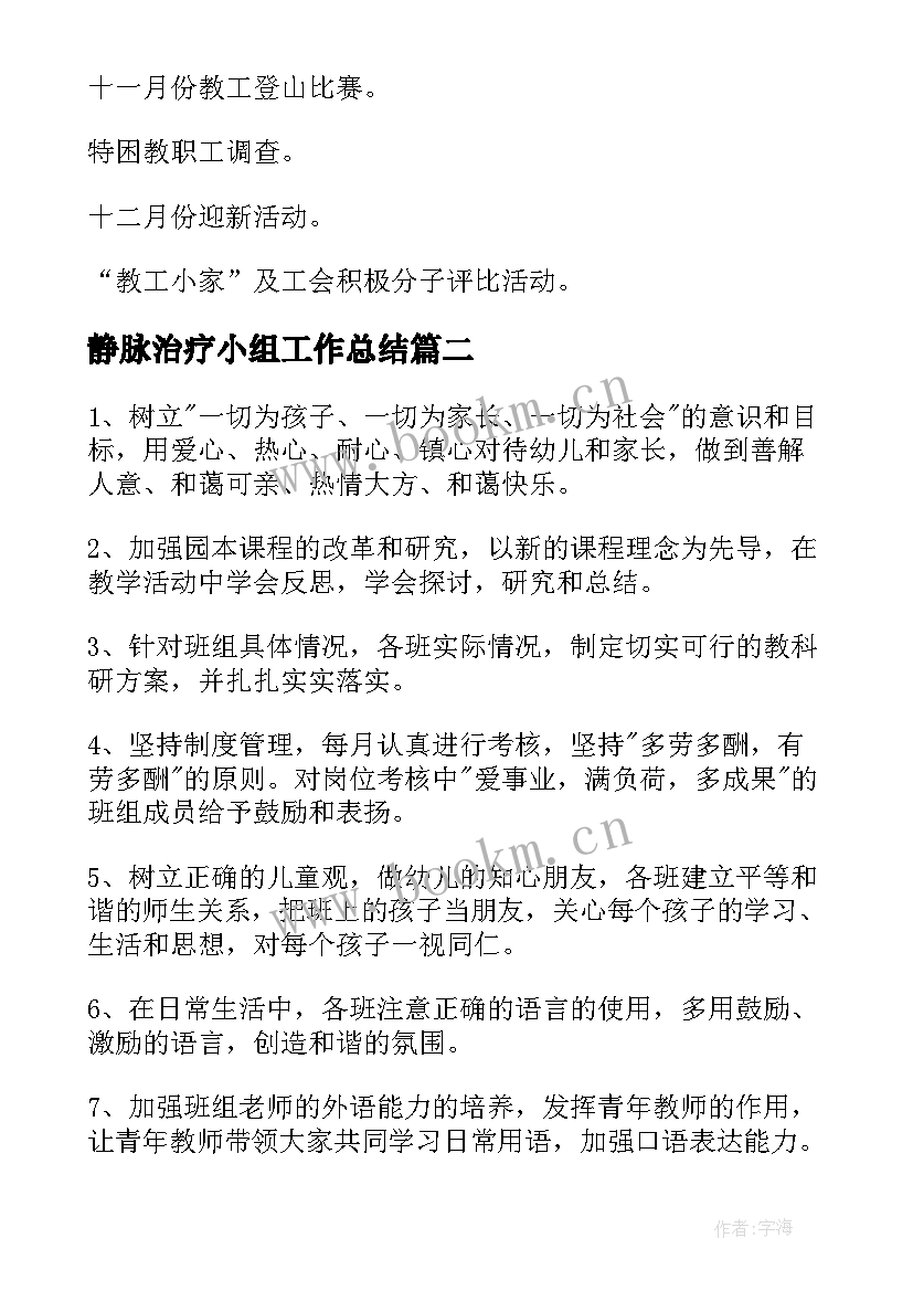 2023年静脉治疗小组工作总结(大全9篇)