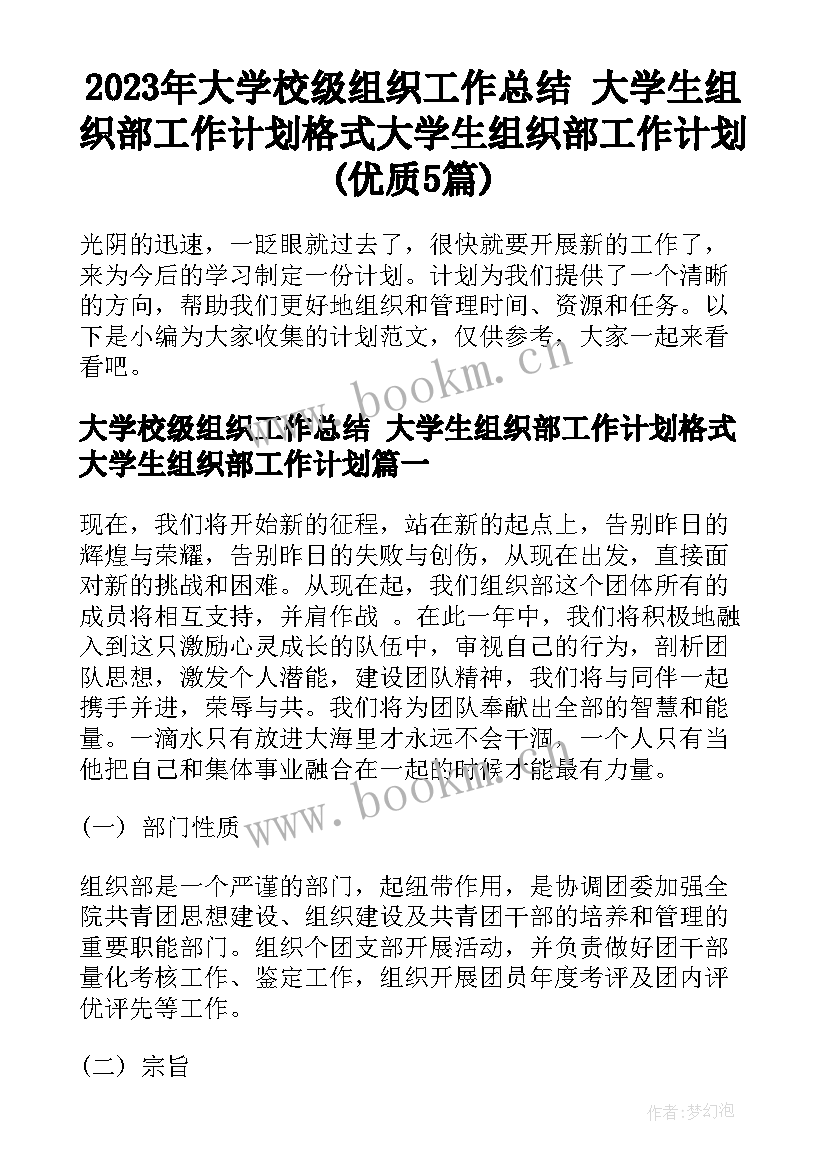 2023年大学校级组织工作总结 大学生组织部工作计划格式大学生组织部工作计划(优质5篇)