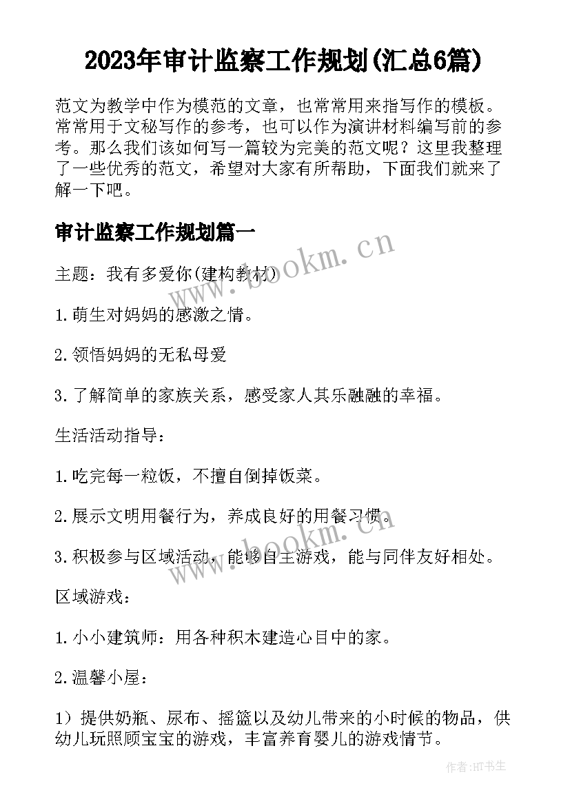 2023年审计监察工作规划(汇总6篇)