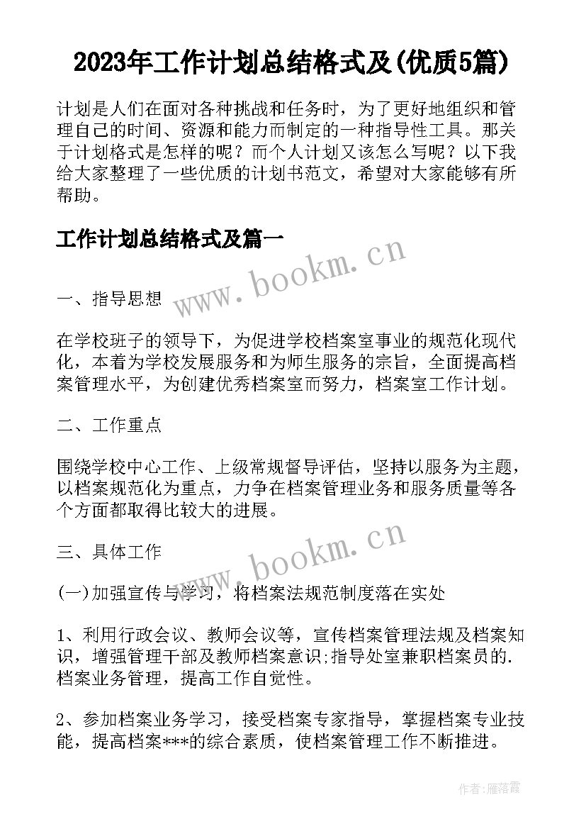 2023年工作计划总结格式及(优质5篇)