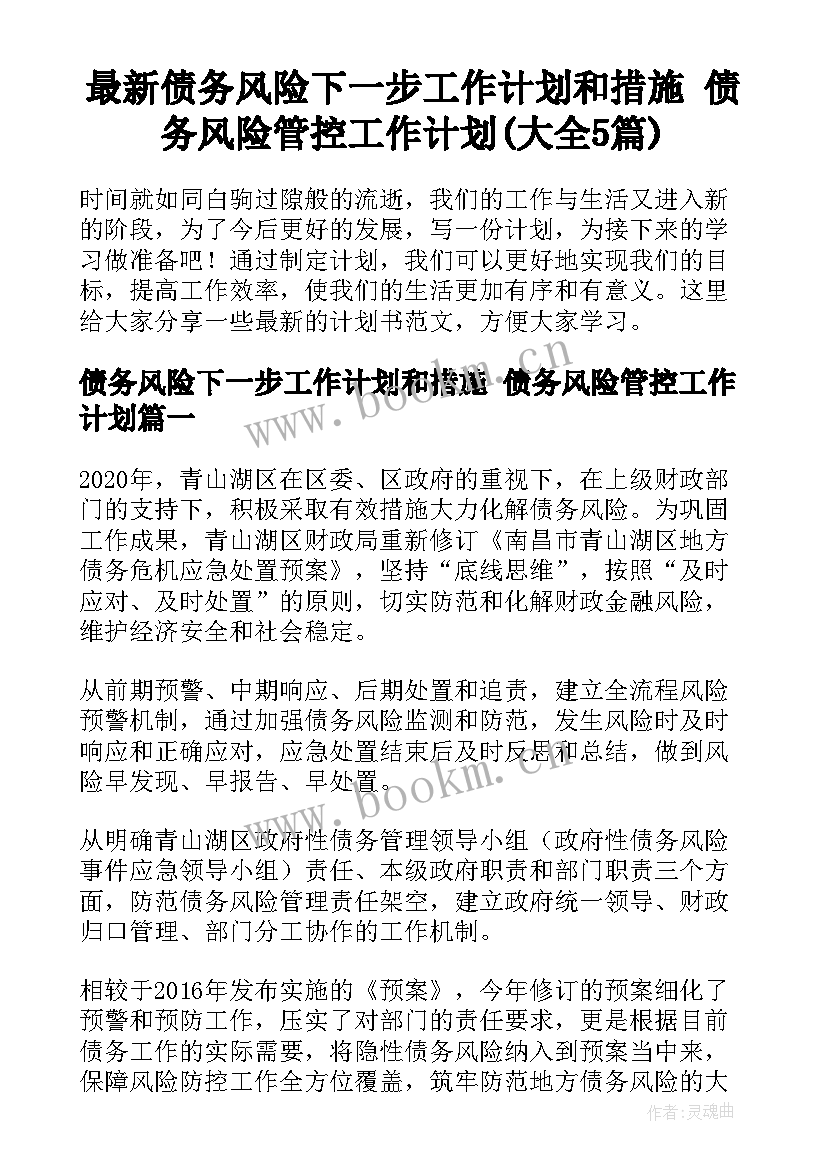 最新债务风险下一步工作计划和措施 债务风险管控工作计划(大全5篇)