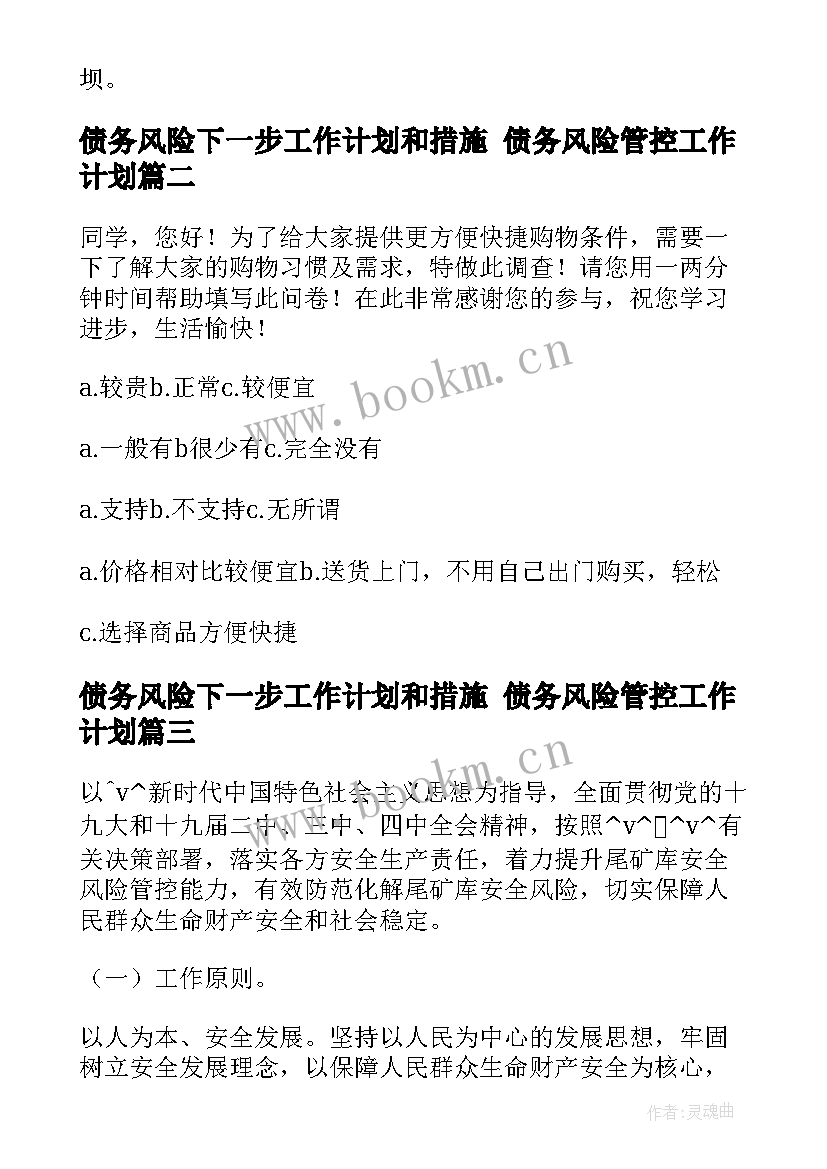 最新债务风险下一步工作计划和措施 债务风险管控工作计划(大全5篇)