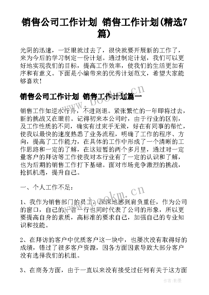 销售公司工作计划 销售工作计划(精选7篇)