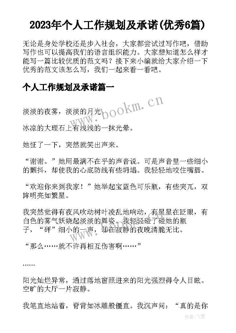 2023年个人工作规划及承诺(优秀6篇)