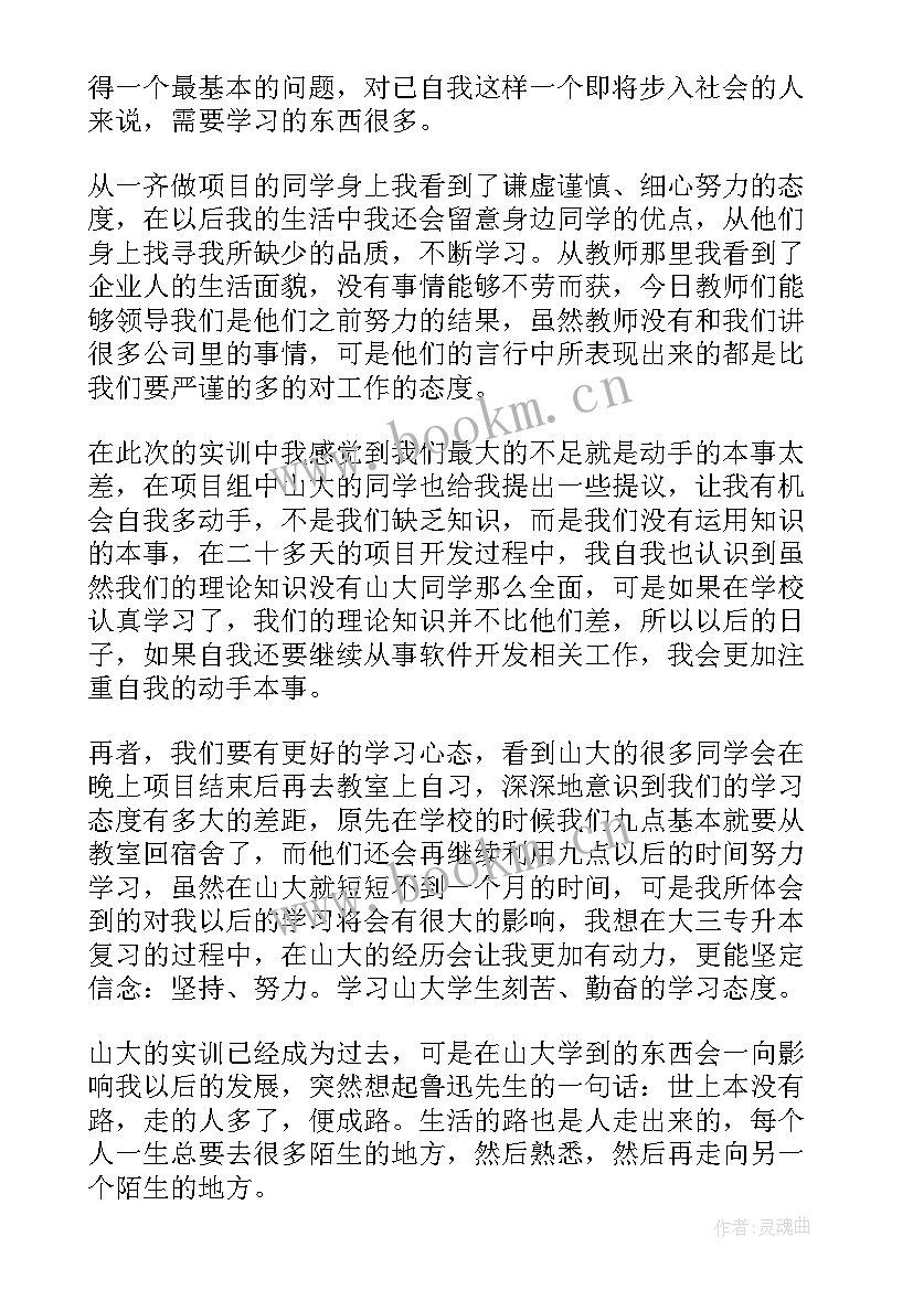 2023年项目工作总结精辟(优质9篇)