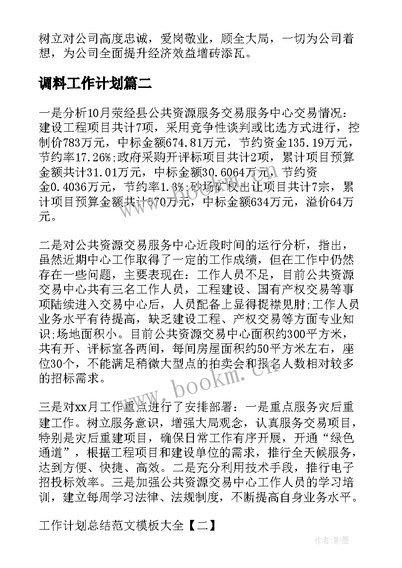 最新调料工作计划(大全7篇)