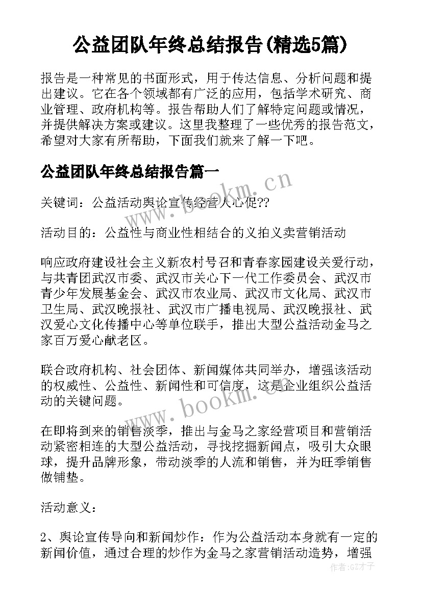 公益团队年终总结报告(精选5篇)