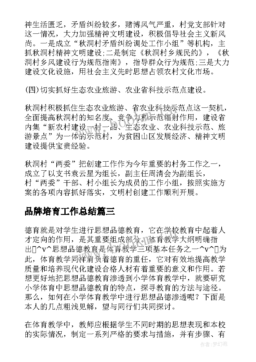 2023年品牌培育工作总结(汇总8篇)