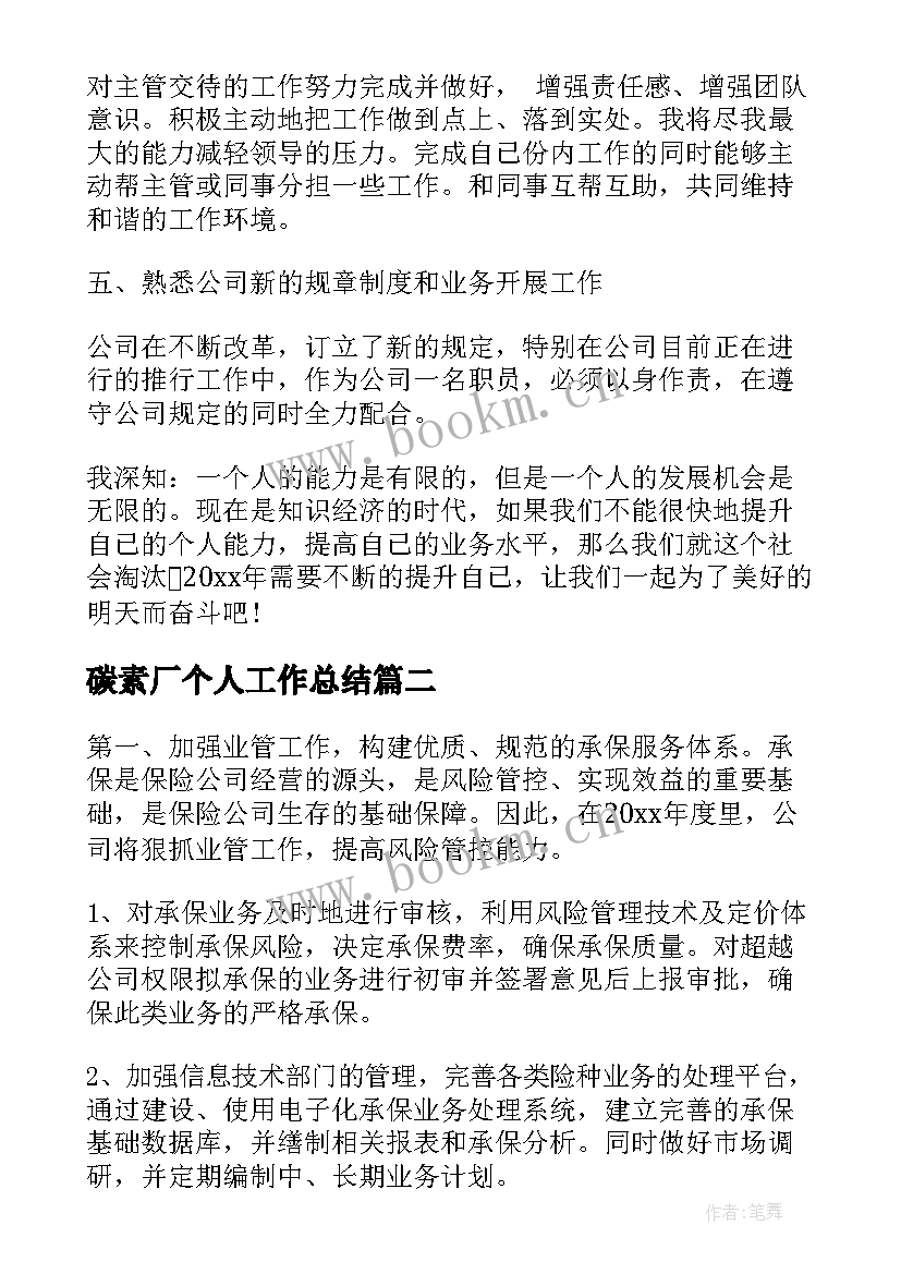 2023年碳素厂个人工作总结(大全6篇)