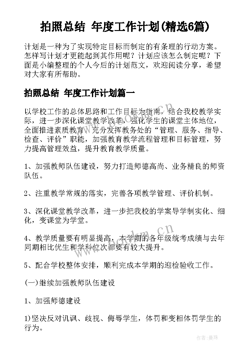 拍照总结 年度工作计划(精选6篇)