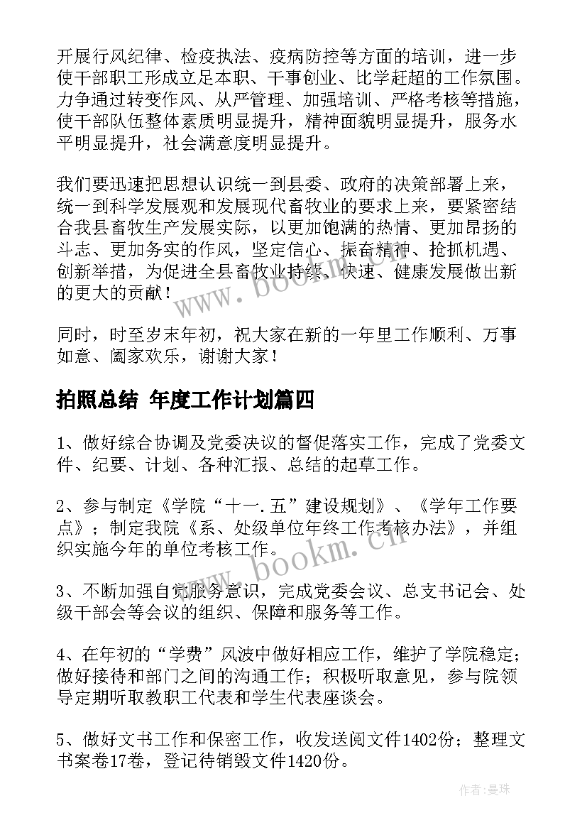 拍照总结 年度工作计划(精选6篇)