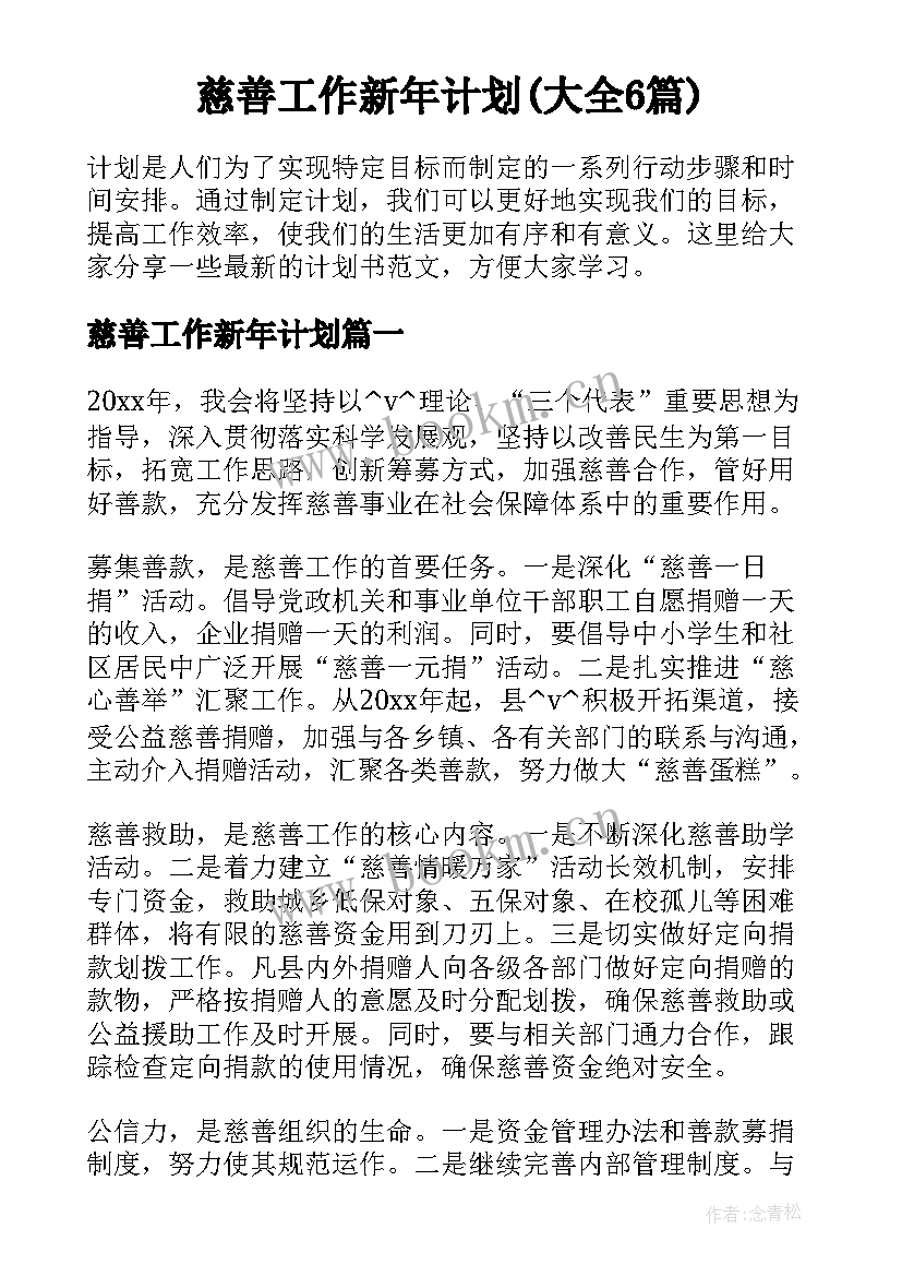 慈善工作新年计划(大全6篇)