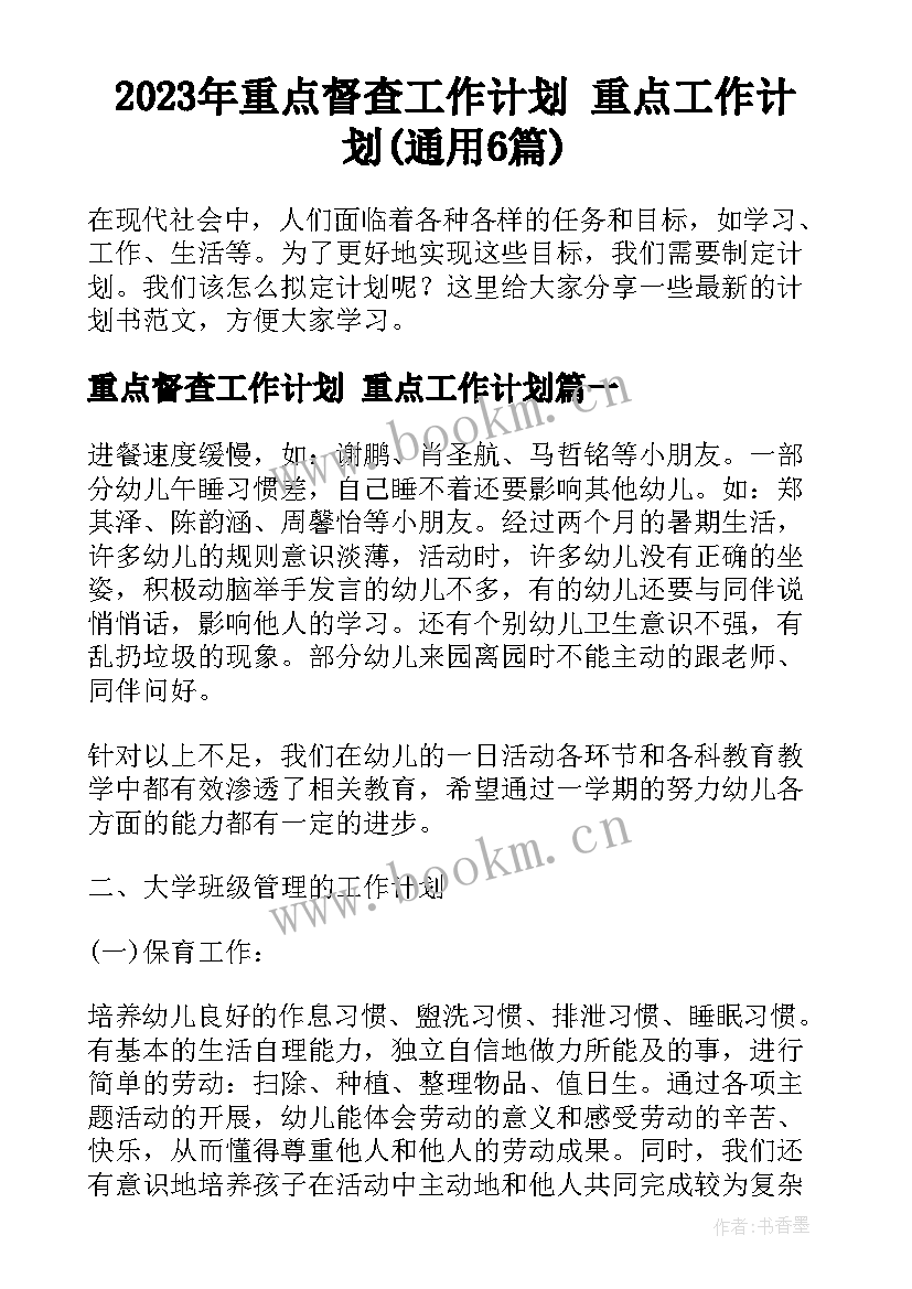 2023年重点督查工作计划 重点工作计划(通用6篇)