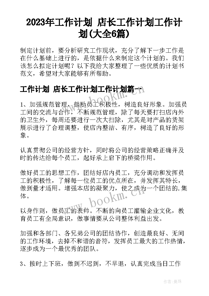 2023年工作计划 店长工作计划工作计划(大全6篇)