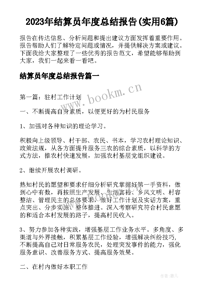 2023年结算员年度总结报告(实用6篇)