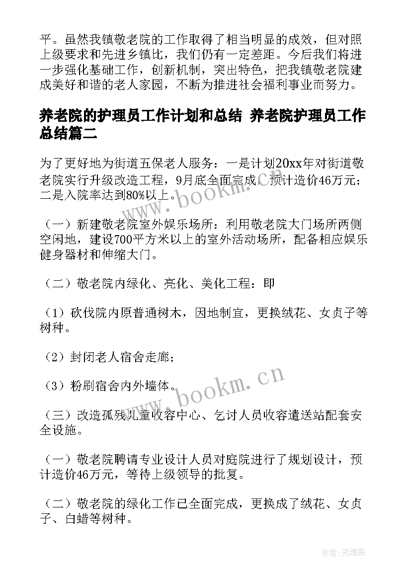 养老院的护理员工作计划和总结 养老院护理员工作总结(实用5篇)