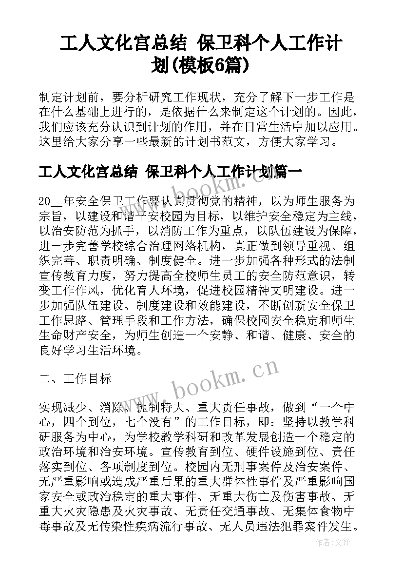 工人文化宫总结 保卫科个人工作计划(模板6篇)