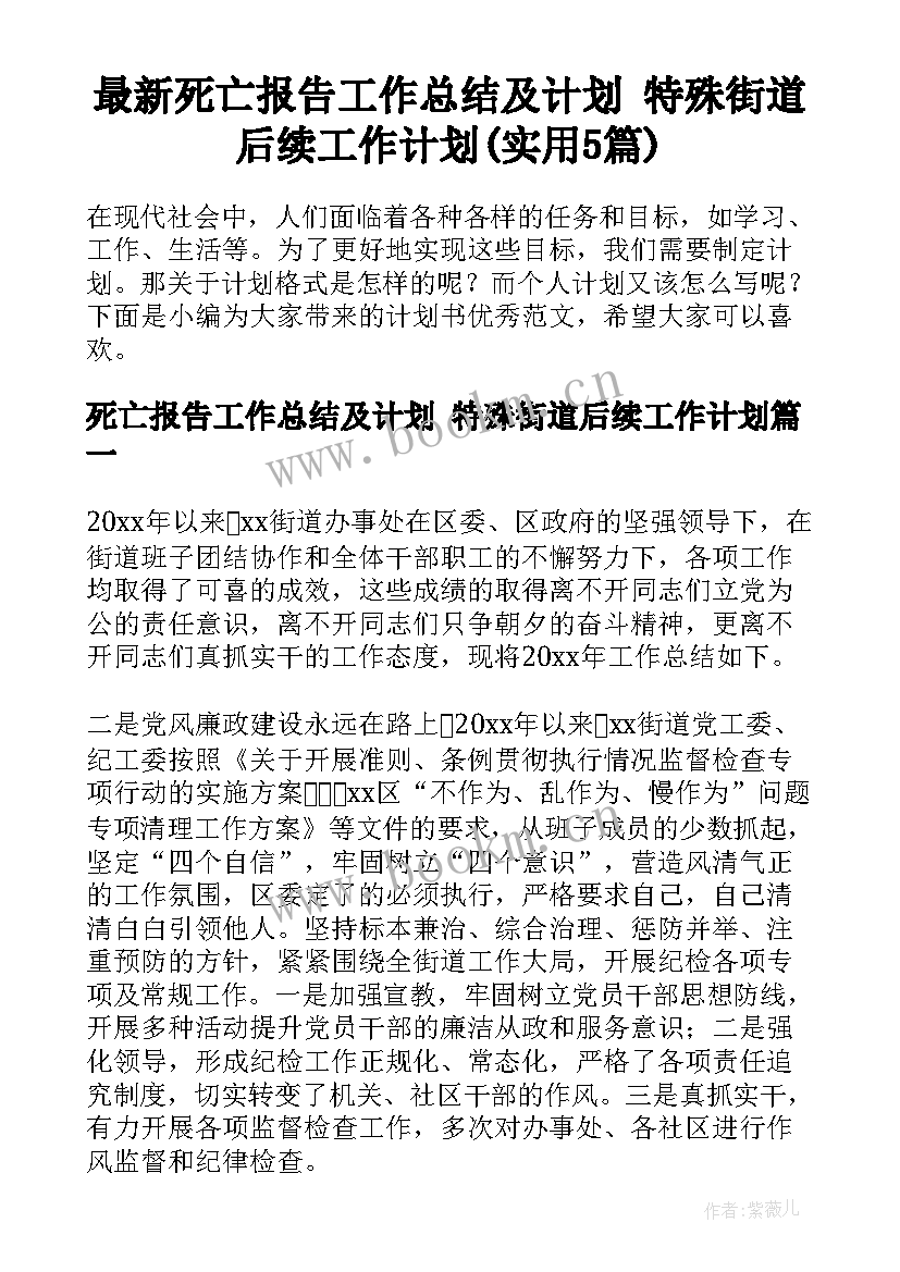 最新死亡报告工作总结及计划 特殊街道后续工作计划(实用5篇)