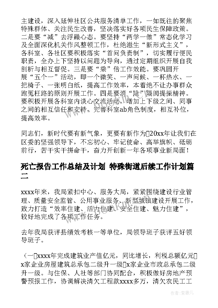 最新死亡报告工作总结及计划 特殊街道后续工作计划(实用5篇)