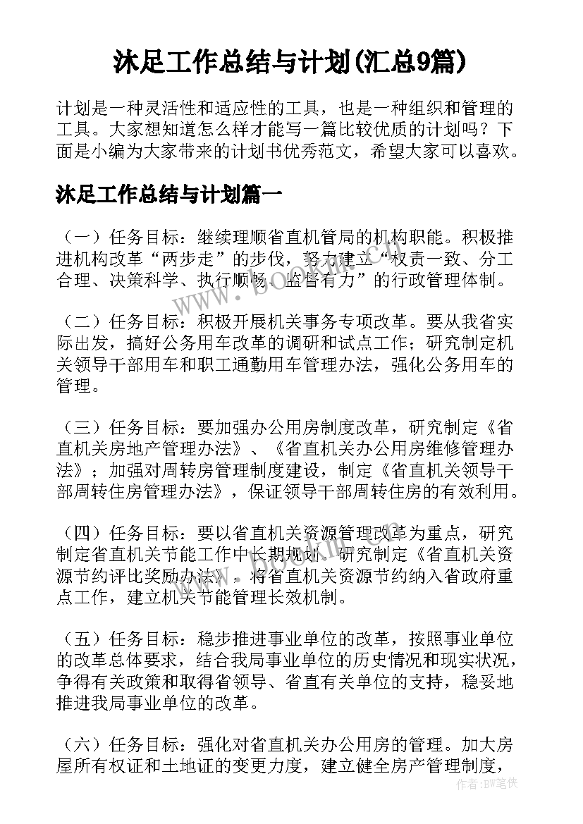 沐足工作总结与计划(汇总9篇)