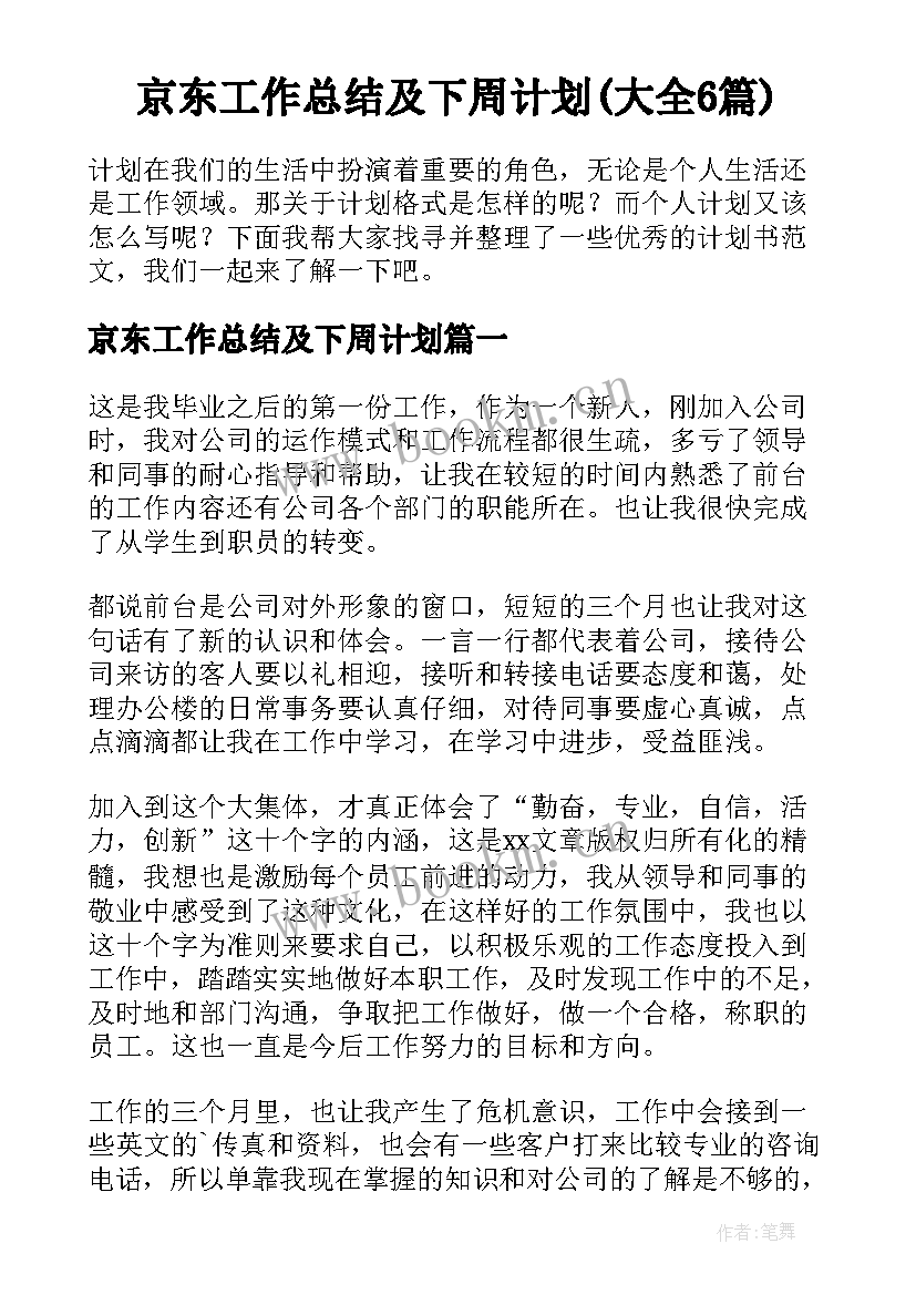 京东工作总结及下周计划(大全6篇)