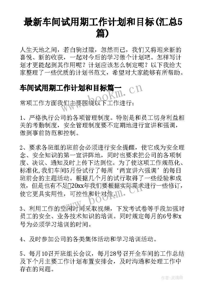 最新车间试用期工作计划和目标(汇总5篇)