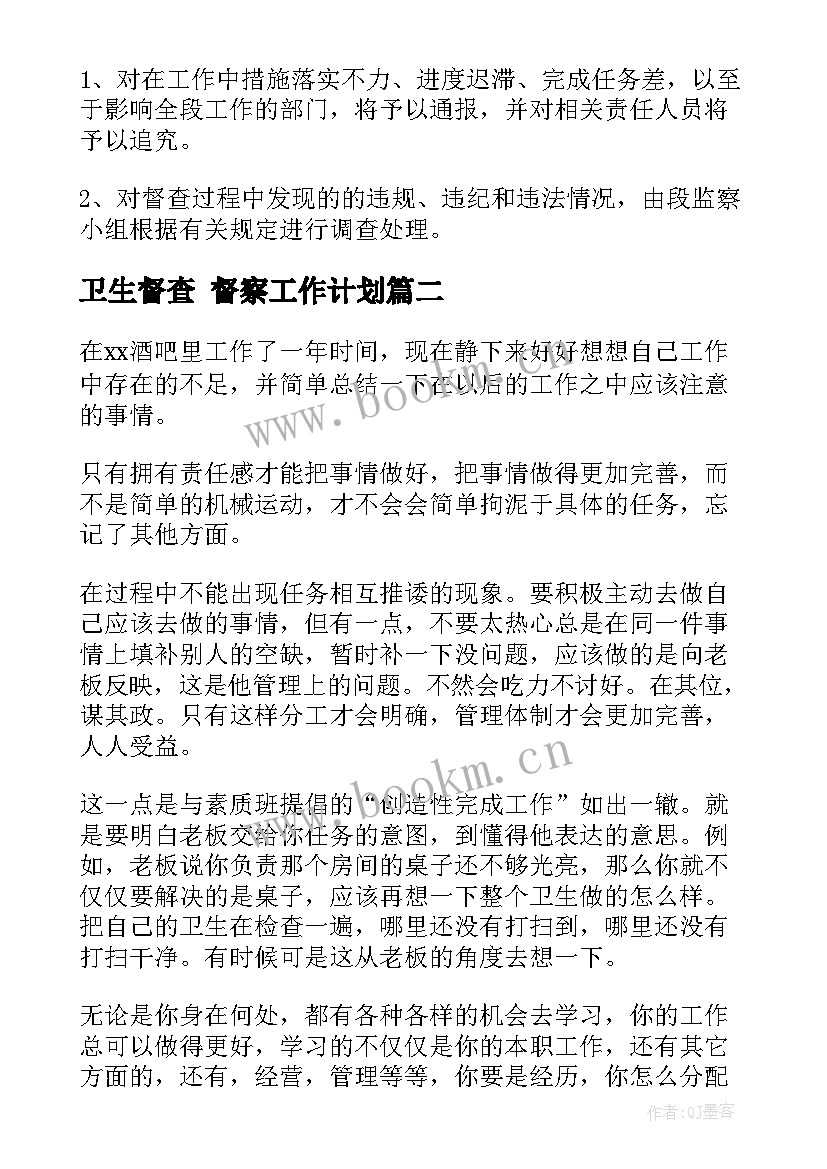 卫生督查 督察工作计划(汇总6篇)