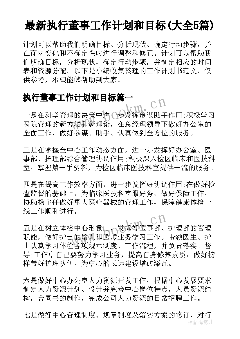 最新执行董事工作计划和目标(大全5篇)