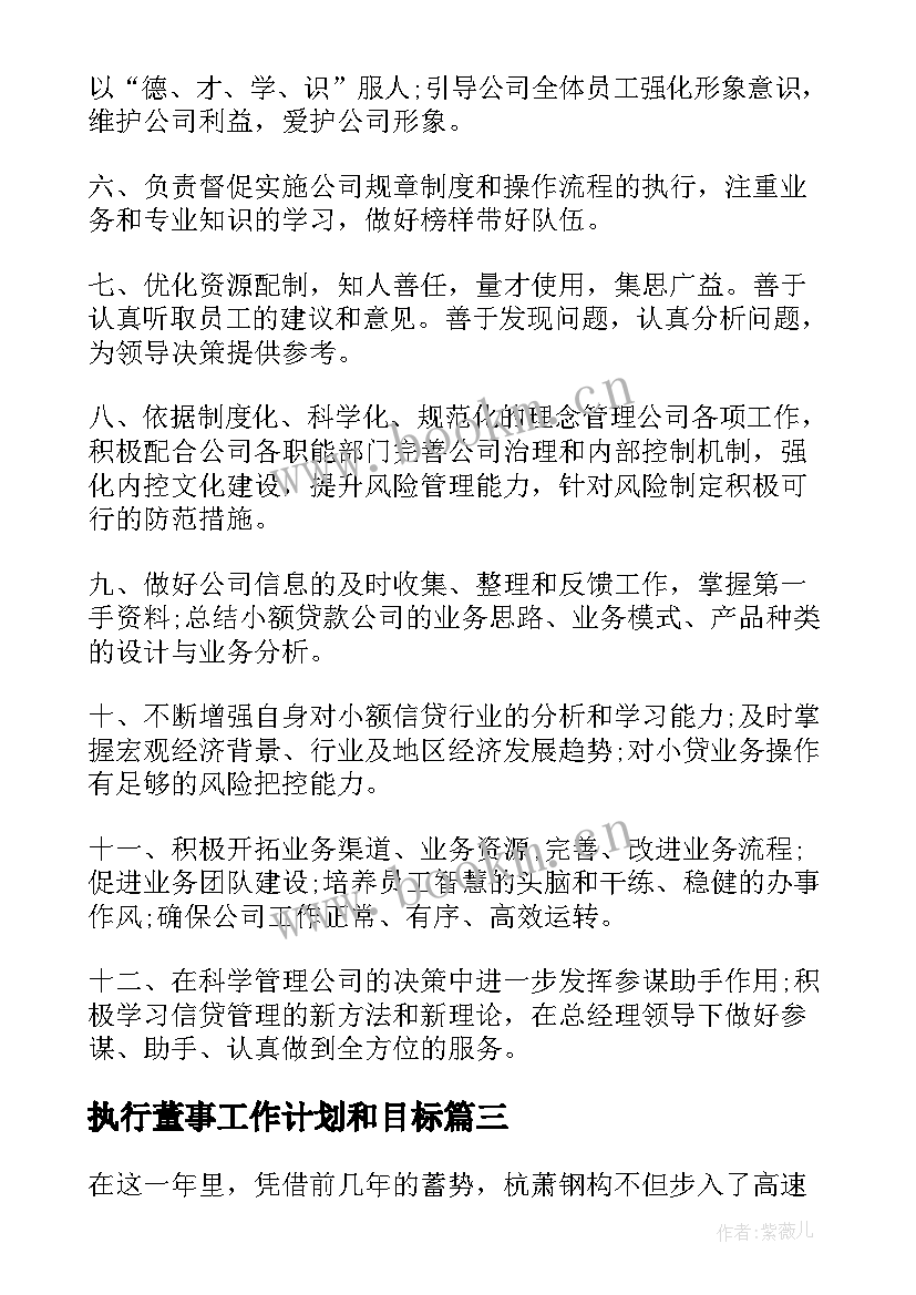 最新执行董事工作计划和目标(大全5篇)