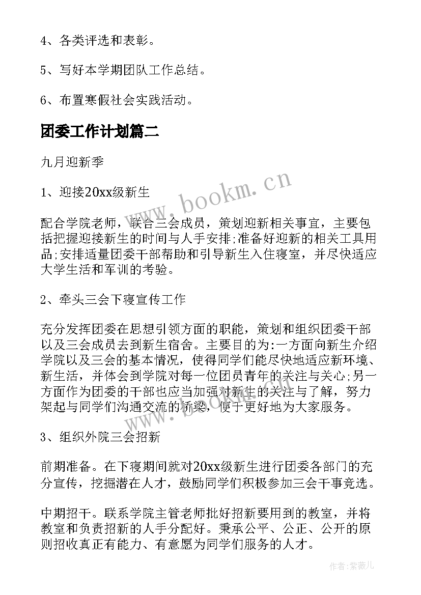 2023年团委工作计划(通用9篇)