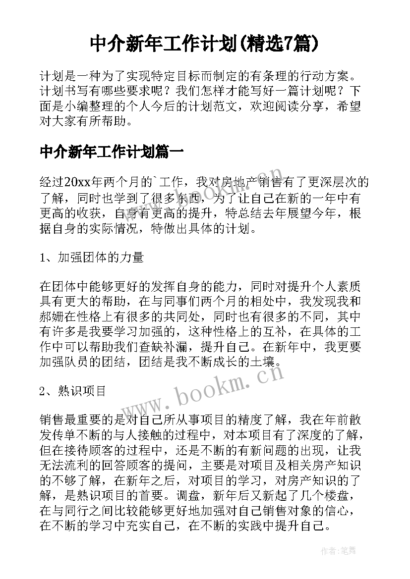 中介新年工作计划(精选7篇)