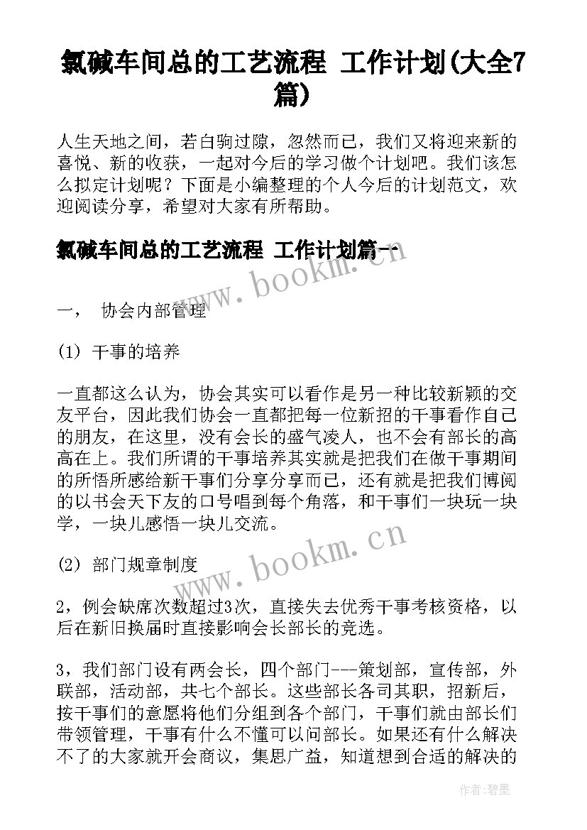 氯碱车间总的工艺流程 工作计划(大全7篇)