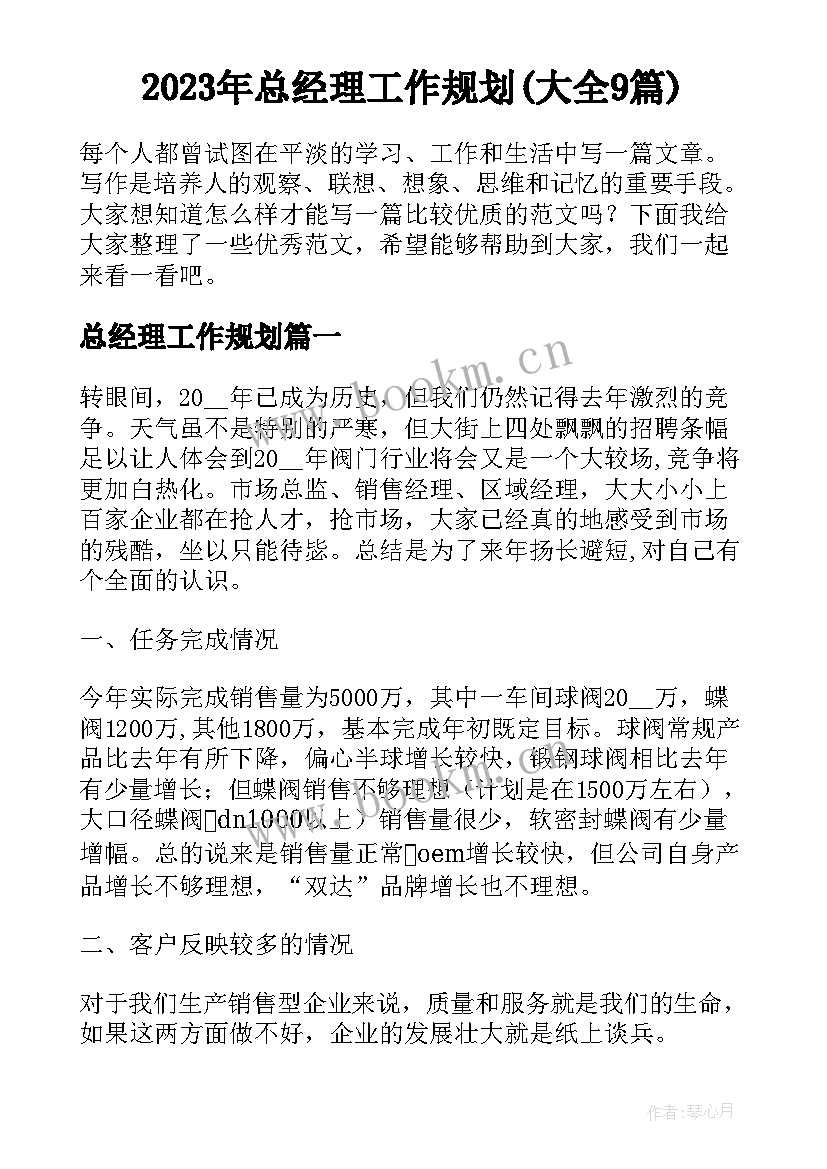 2023年总经理工作规划(大全9篇)