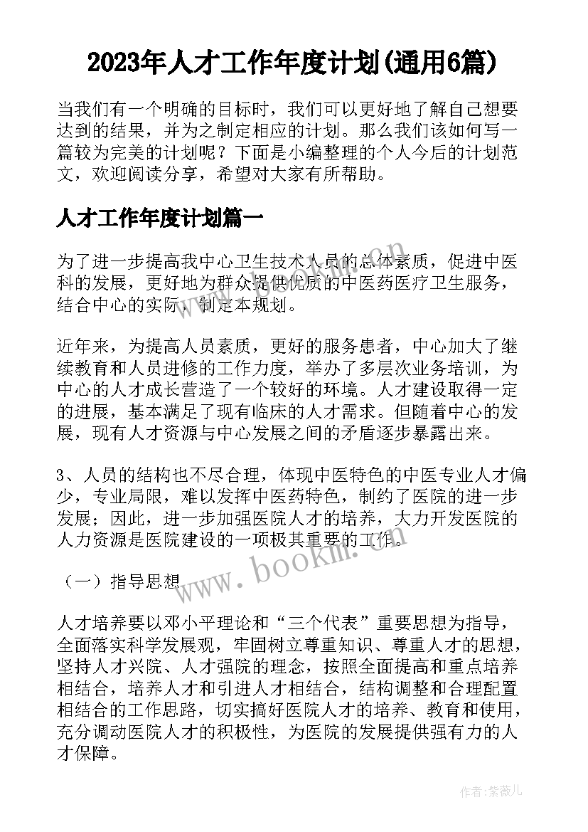 2023年人才工作年度计划(通用6篇)