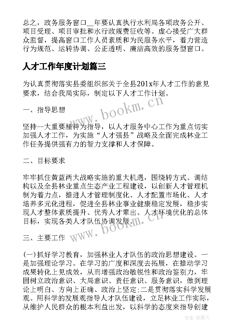 2023年人才工作年度计划(通用6篇)