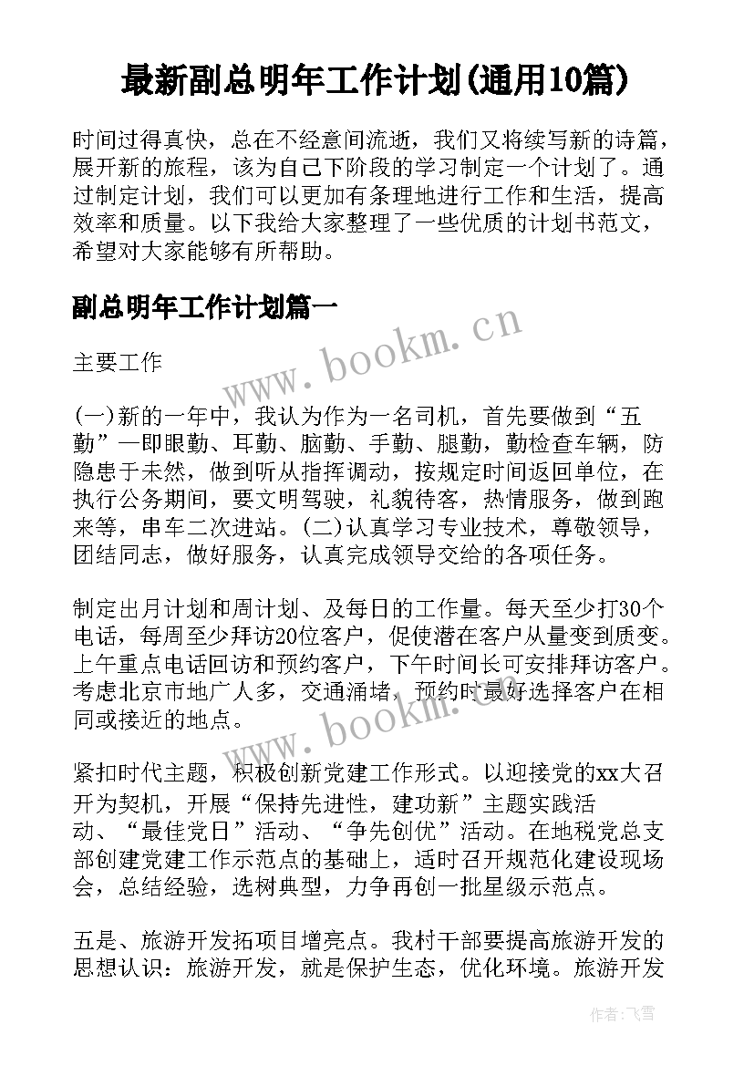 最新副总明年工作计划(通用10篇)