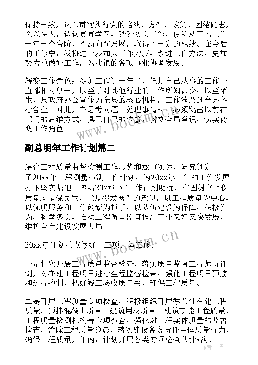 最新副总明年工作计划(通用10篇)