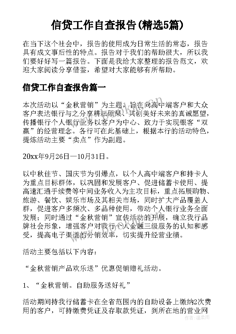 信贷工作自查报告(精选5篇)