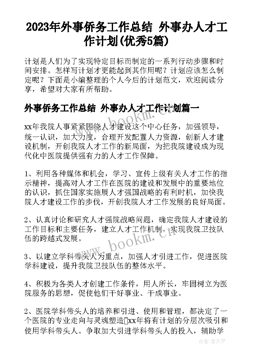 2023年外事侨务工作总结 外事办人才工作计划(优秀5篇)