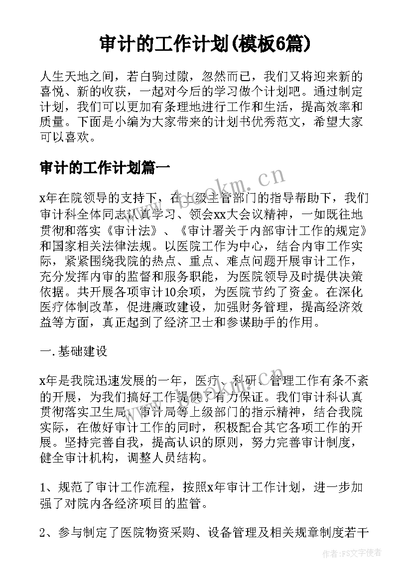 审计的工作计划(模板6篇)